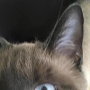 Meet your Posher, Marcia